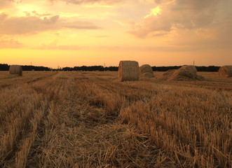 Grass and bales of hay