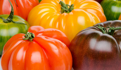 Green, yellow, orange and purple tomatoes