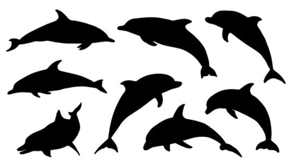 Fototapeta premium sylwetki delfinów