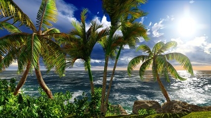 Paradise on Hawaii Island