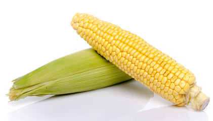 Fresh corn on the cob
