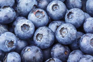 Closeup of freshly picked blueberry berries as background