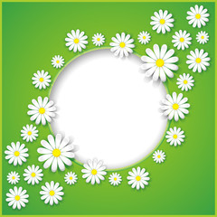 Abstract background with flower camomile