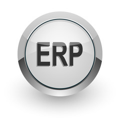 erp internet icon