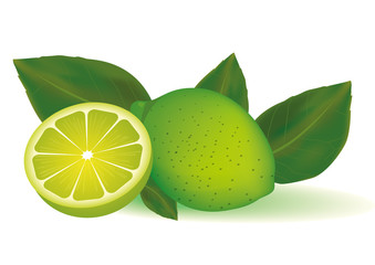 Citron vert