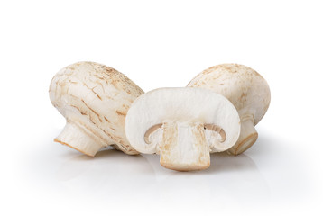 champignon mushroom  isolated on white background