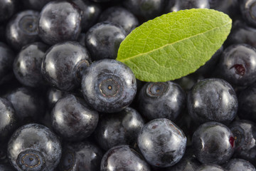 Blueberries with leaves  close-up
