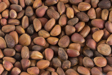 Obraz premium Pine nuts in shells as a background