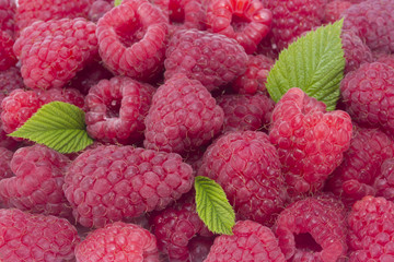 Raspberry fruit with leaves batskground