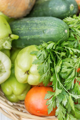 Basket with genuine fresh organic vegetables just harvested 