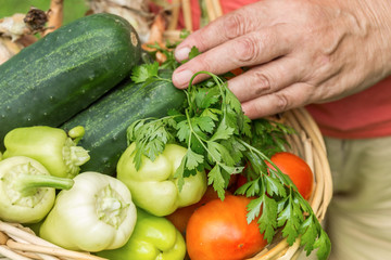 Senior woman holding a basket with genuine organic vegetable