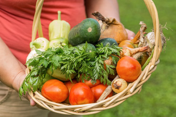 Senior woman holding a basket with genuine organic vegetable