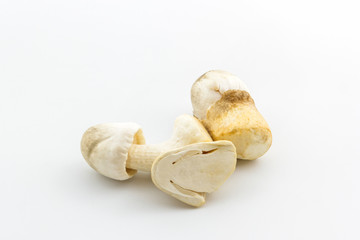 Fresh rice straw mushrooms,Volvariel la volvacea.