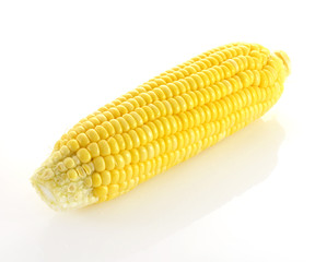 fresh corn fruits  isolated on white background