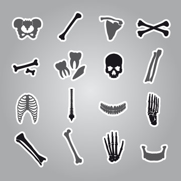 human bones stickers set eps10