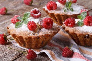 Cupcakes with raspberries and mint closeup horizontal
