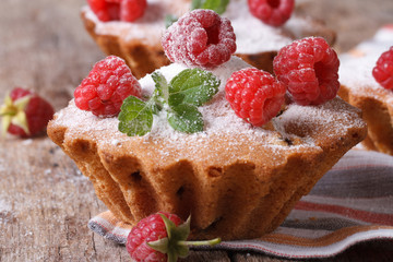 Raspberry Cupcake with mint and sugar powder closeup