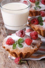 raspberry cupcakes closeup and milk in a glass vertical