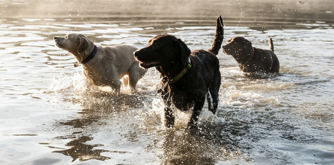 fun in the water