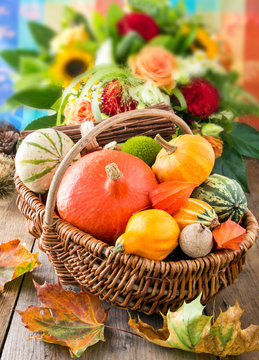 Herbst - Dekoration