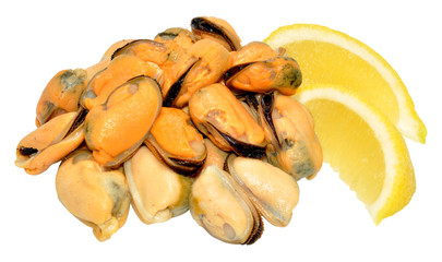 Cooked Mussels