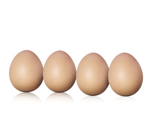 fresh eggs