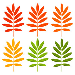 Fototapeta na wymiar Set of color autumn leaves