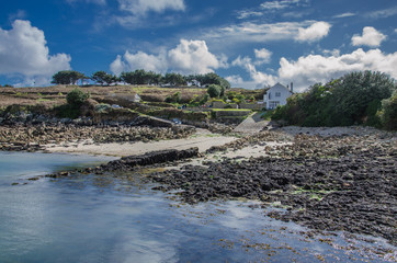 Turks head St. Agnes