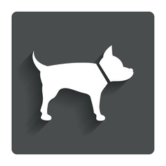 Dog sign icon. Pets symbol.