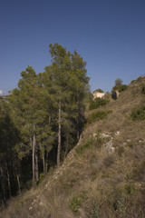 Castillo de Alcal&aacute; de Xivert (Maestrazgo) 14