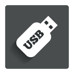 Usb Stick sign icon. Usb flash drive button.