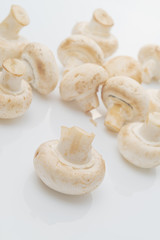 Fototapeta na wymiar Fresh edible Portabello Mushroom Champignon over white backgroun