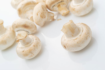 Fresh edible Portabello Mushroom Champignon over white backgroun