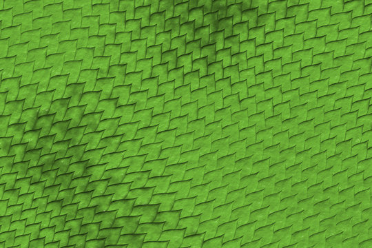reptile skin