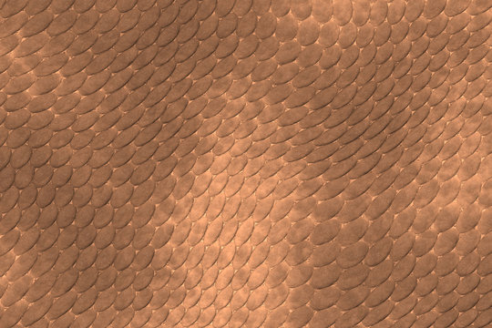 reptile skin
