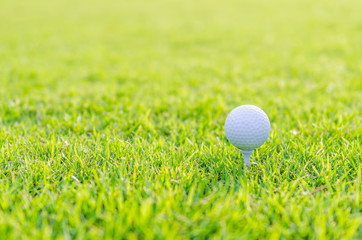 Golf ball on green grass