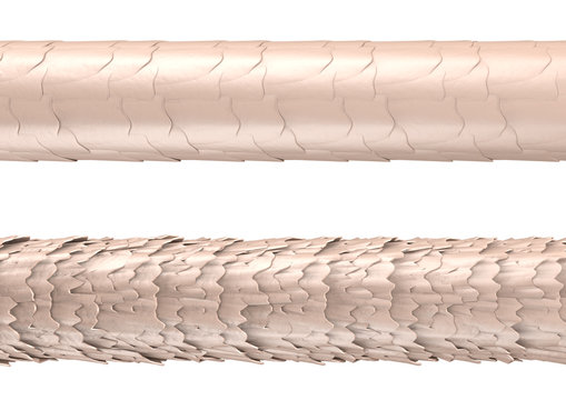 Haar-Struktur - gesundes und strapaziertes Haar: 3D-Illustration