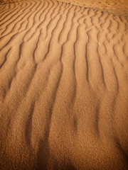 Sand dune background