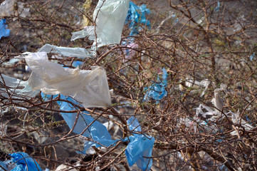 Garbage in nature