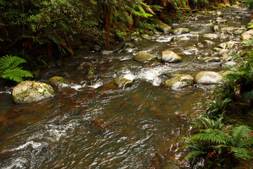Great Ocean Road Waterfall