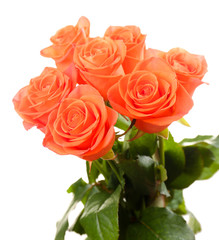Bouquet of beautiful roses isolated on white