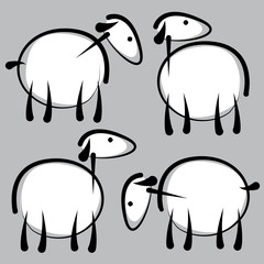 sheep isolated on gray background