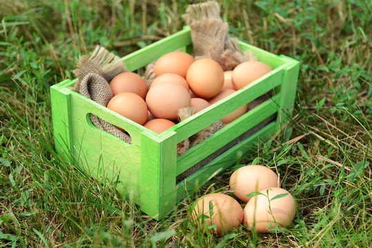 Eggs in wooden box on grass outdoors