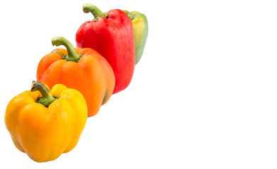 A group of different colors of capsicum over white background