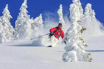 skifahren im Winterwunderland