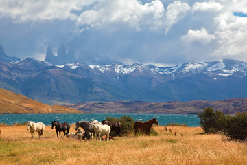 Fabulous lake Laguna Azul