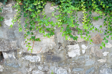 rural wall