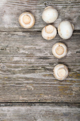 Obraz na płótnie Canvas Fresh mushrooms