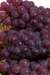 ブドウ　デラウェア