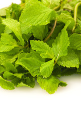 Mint leaves